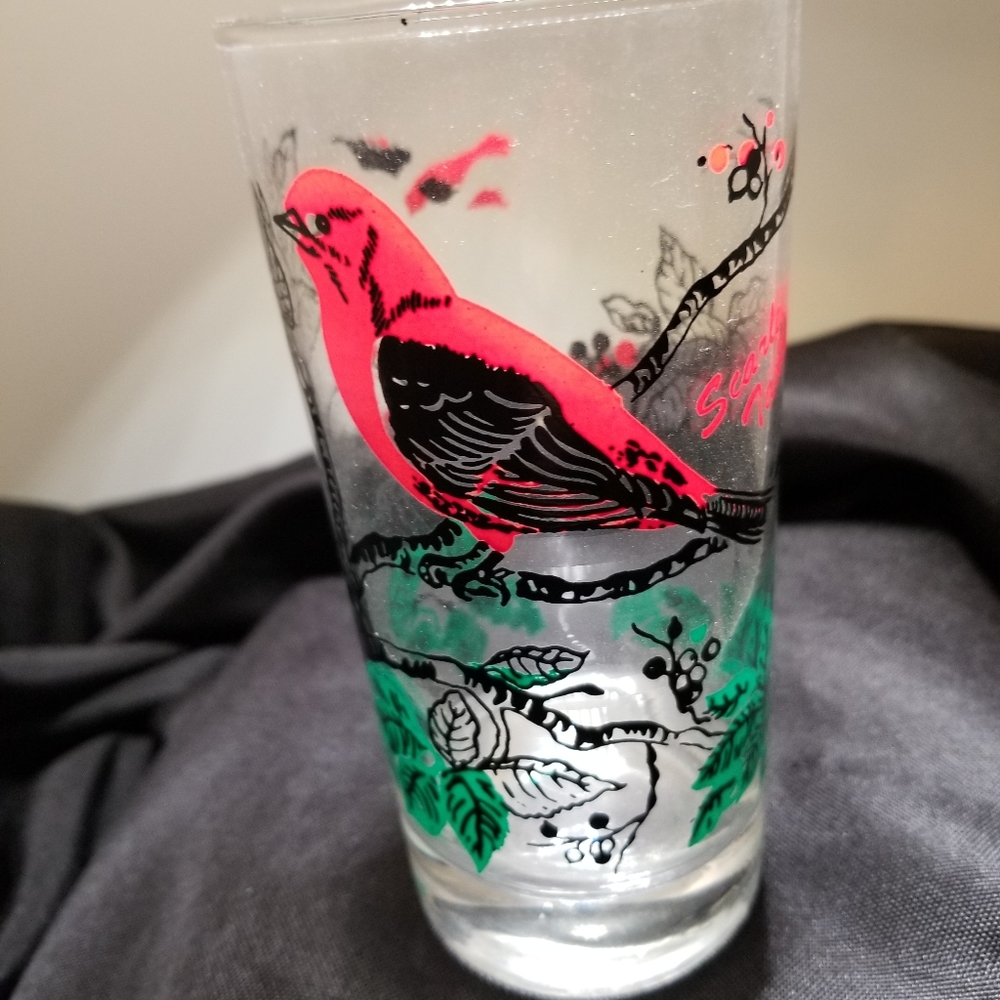 Scarlet Tanager Federal Glass Tumbler